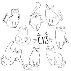 Collection of cats