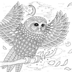 Naklejka premium lovely owl coloring page