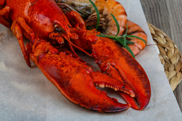 Lobster and shrimps