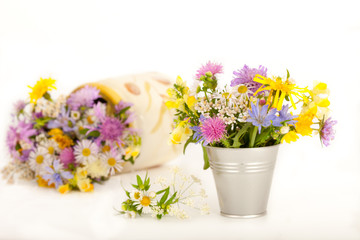 Beautiful meadow flowers in small vases, white background