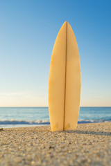 Surfboards awaiting fun in the sun