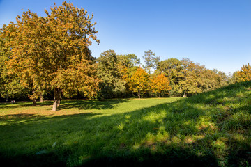Sonniger Herbsttag in einem Deutschen Park