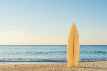Surfboards awaiting fun in the sun