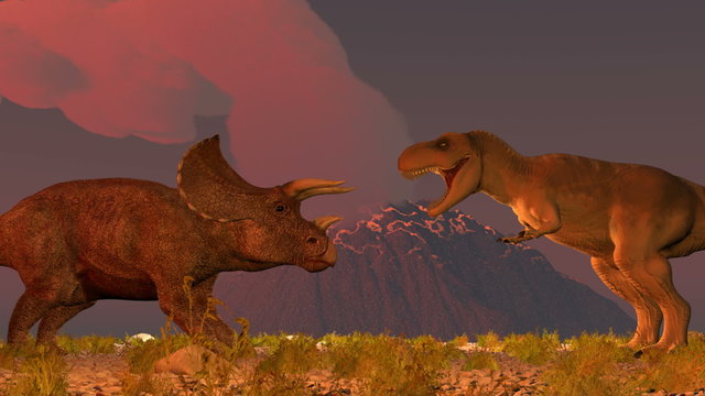 Dinosaurs triceratops and tyrex jurassic fihgt