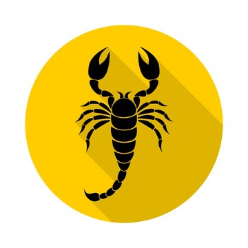 Scorpion icon with long shadow