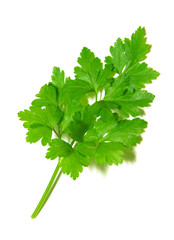  parsley