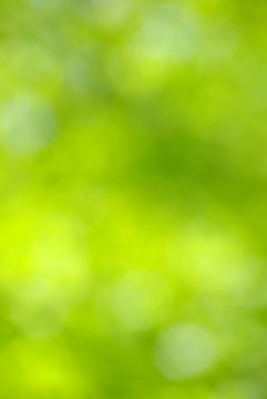 green blurred background.