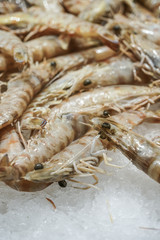 shrimps at fish market