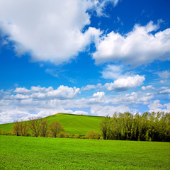 Cereal fields by The Way of Saint James in Castilla