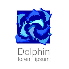 dolphin sign