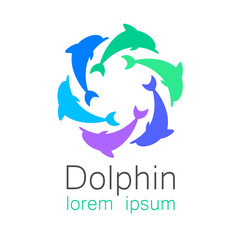 Obraz premium dolphin logo