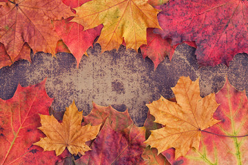 Naklejka na ściany i meble Bright autumn leaves arranged in a frame on a shabby chic backgr