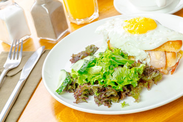 Fried egg and salad