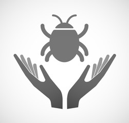 Two hands offering a bug