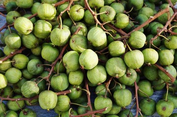 Green baby kiwi berries 