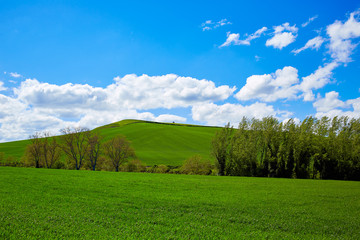 Cereal fields by The Way of Saint James in Castilla