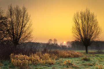 Fototapeta na wymiar Early morning sunrise in a natural environment in park Cronesteyn in Leiden, the Netherlands