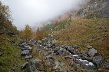 Small valley with wild river and mist in autumn