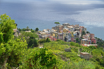 Obraz premium The popular seaside village of Corniglia in the Cinque Terre, Italy