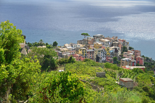 The popular seaside village of Corniglia in the Cinque Terre, Italy