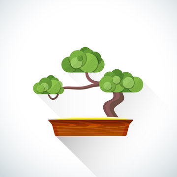vector flat bonsai illustration icon.