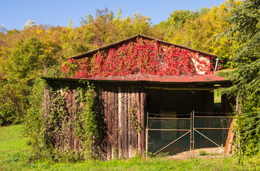 Vecchio fienile nella campagna toscana