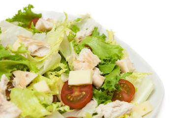 fresh chicken salad on white background