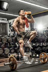 bodybuilder