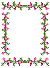 Fototapeta premium carnation isolated on white background