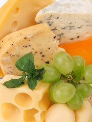 Cheese still life