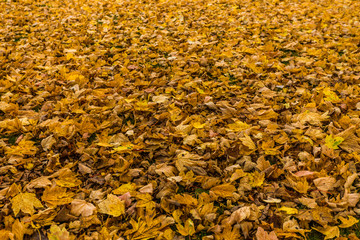 park in rostock