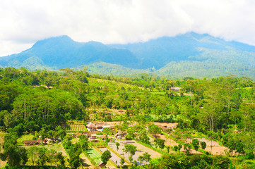 Bali village