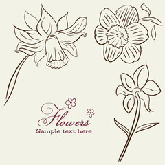 Vintage Flower background