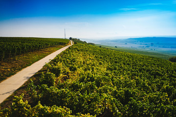 Weg in Landschaft