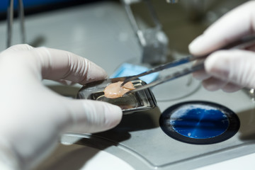 Women working in Microbiology - Biochemical Laboratory and the N