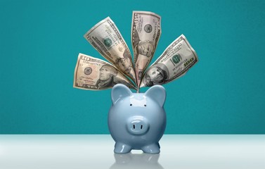 Piggy Bank.
