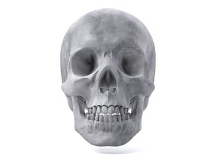 Obraz premium 3D Isolated Human Skull.