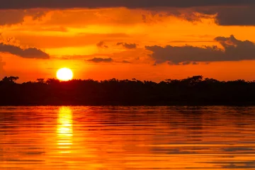 Fototapeten Dramatic Red Sky In Amazonian Jungle Ecuador © Ammit
