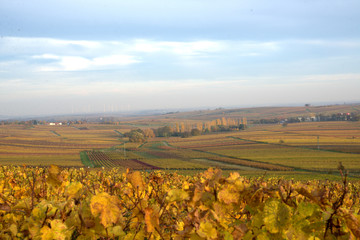 Toskana in rhineland-palatinate