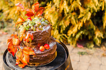 beautiful designer chocolate cake decorated with grapes and oran