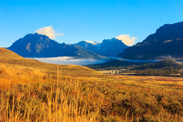 Mountain landscape .