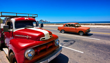 Fototapeta na wymiar Oldtier in Havana Kuba