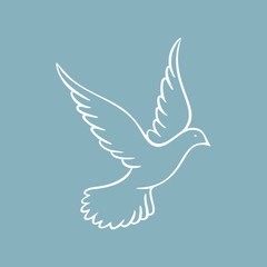 Dove, Holy spirit