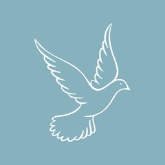 Fototapeta premium Dove, Holy spirit