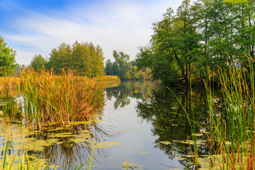 Autumn scene on river