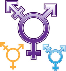 Sexuality Symbol vector