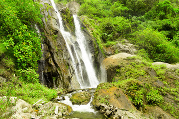 A lush forest in Ecuador with a stunning waterfall cascading down, surrounded by Chamana natural reserves.