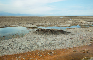 Salt lake lagoon Chaxa