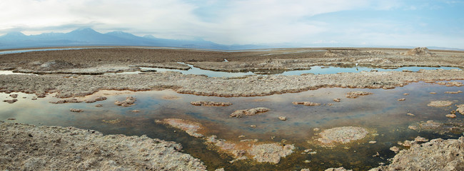 Fototapeta na wymiar Salt lake lagoon Chaxa