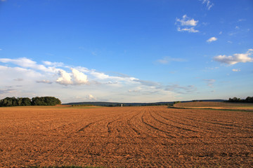 Fototapeta premium Field After Harvest